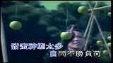 赵颂茹-柚子