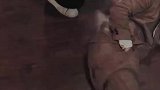水熊虫精活得太久太孤独，媒婆终于结案