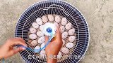 大叔用一个塑料盆和风扇外壳就制作了一款孵蛋装置，简单又实用