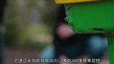 智能园丁机器人，自动洒水还能看家，网友给我来一打
