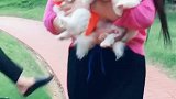 小姐姐好皮啊！
