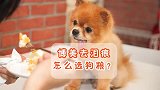 博美泪痕严重怎么去除？