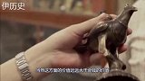 老农挖出11斤金子，上交博物馆，半年少3斤，专家：可能蒸发了