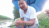罗小曼：今天随便打个窝，草鱼不请自来，钓一条仍一条