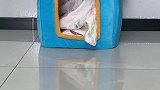 养猪人的一天，做了什么