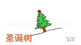 植物简笔画大全，画森林中的圣诞树简笔画