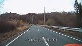 一头黄牛突然闯入铁道，火车飞速驶来，反应过来时为时已晚