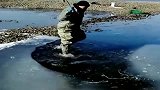 村长来河里收地笼了，拿着斧头上来就一顿猛砸，真是个狠人！