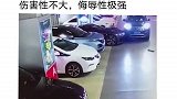 你们觉得这是谁的责任带你懂车