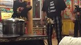 欧阳娜娜上演扭扭舞，与身旁小姐姐一起嗨，可爱感简直爆棚