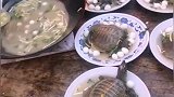 王八汤里下蛋吗
