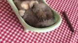 原来懒也能上热搜