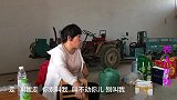 农村爸爸去地里收花生，为啥妈妈要罢工？妈妈：儿子不去我也不去