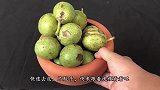 核桃快速去皮就用这招，实用又方便，还不脏手