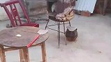 男子本想开火取暖，却发现小猫在已经在取暖了
