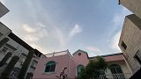 流浪猫妈和大儿子终于在猫城堡团聚