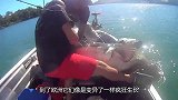 小伙河边捕鱼，一网下去捞上来超大鲶鱼，足有180斤重！