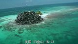 灾难来临，全球出现不明生物袭击，前方高能预警！