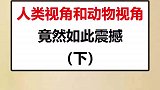 那到底谁的视觉才是真实的呢？