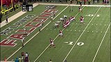 NFL-1516赛季-常规赛-第17周-亚特兰大猎鹰17:20新奥尔良圣徒-精华