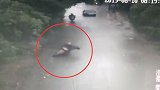 浙江台风天吹断树枝 男子骑车路过被砸摔倒致骨折