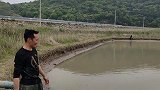 大河塘里抓鱼简直太爽了！大头鱼子鱼白莲各种大鱼都有，真过瘾啊
