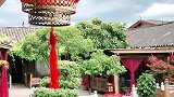 有一种时光，叫柔软。有一种生活，叫丽江。