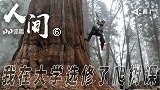 《人间》-“有事树上说” 我在厦门大学选修了爬树课