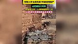 14岁少女被杀，父亲未拿到赔偿金