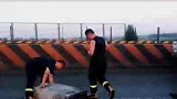 出警归队途中，消防员也会很皮