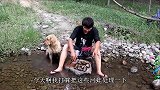 小伙抓了好多的大河蚌，金毛说里边可能有珍珠，小伙打开后惊喜了