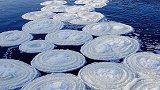 神奇！苏格兰河面现30个冰冻煎饼 专家：符合完美条件才会形成