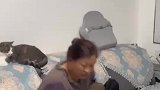 妈妈陪女儿去相亲后，向爸爸吐槽