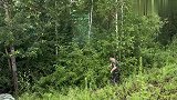 原始林区民工用山里野花装饰六道第一次见过惊呆了太有意思了