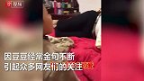 萌娃灵魂拷问爸爸你以为老婆很漂亮就不用爱我吗