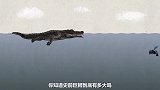 探索：史前巨鳄到底有多大！沧龙又算不算鳄类？