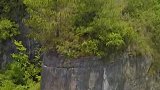 世界奇观，贵州大山里又一尊山体大佛被发现，至今还没有被开发
