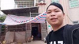 母狗一窝生下12个小狗，出生第七天了，还没有开眼太可爱了