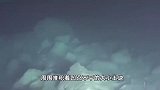 7500米深！日本发现大地震海底“断层悬崖”