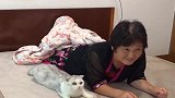 奶奶带大的猫就是不一样，天天陪着看电视，一脸认真的样子好可爱