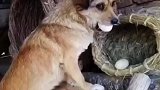 一顿操作猛如虎，结果呢