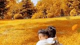 一叶知秋秋意浓，都说龙凤胎是上辈子，不能在一起的恋人