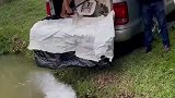 男子放生河鱼，没想到把自己也放生了！