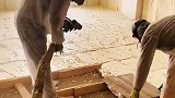 发泡胶做保温长见识了