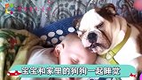 宝宝和宠物之间的欢乐，和狗狗一起睡觉觉，憨憨的超可爱！
