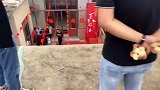 人家是来喝喜酒的，这小子十来吃席的
