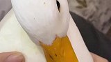 鸭鸭的被动躺着游泳