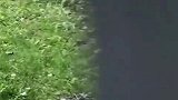 这是什么，