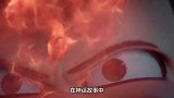 难怪太乙真人的最强法宝没有传给哪吒，你看它的天命主人是谁？