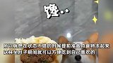 女子孕期自备570个面食当月子餐：准备了饺子、馄饨、肉包